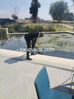 Well Groomed and Clean - 2